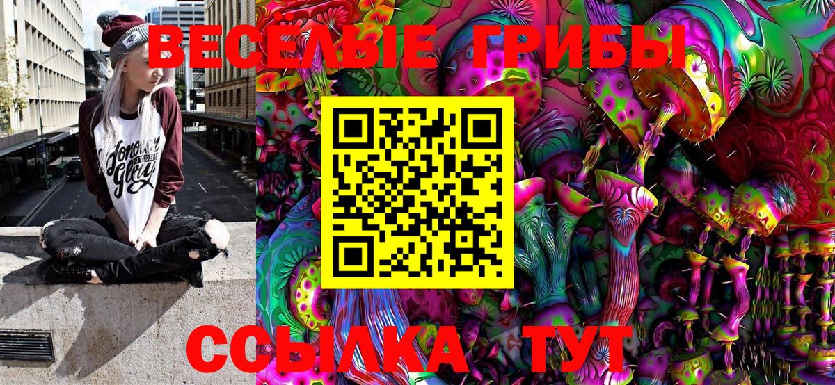 Псилоцибиновые грибы Magic Shrooms Рузаевка